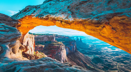 Emerging manager web grid 1024x569