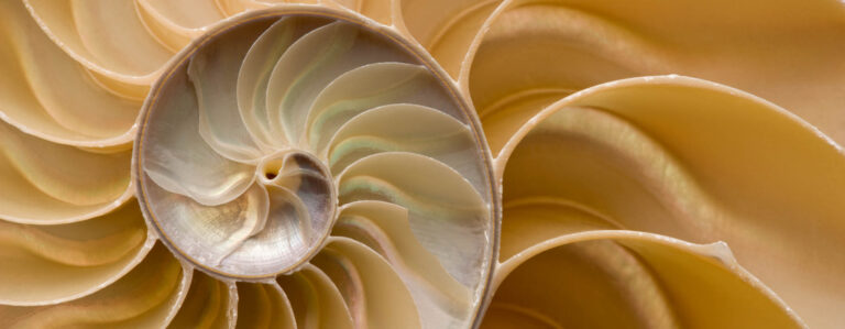 Emerging Managers Nature Interior3