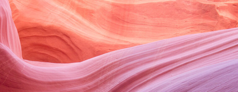 Emerging Managers Nature Interior5