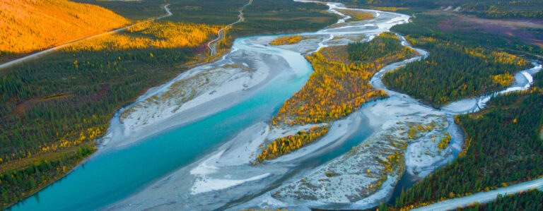 Emerging Managers Nature Interior7