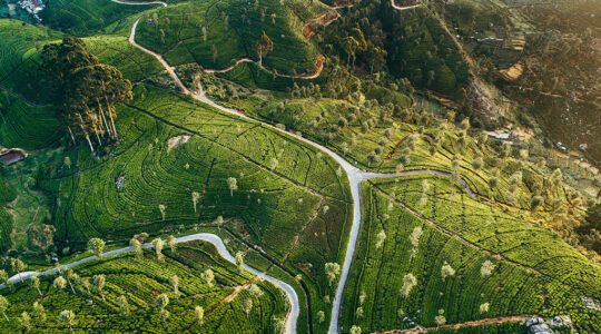 Gettyimages 945069472 1024x569