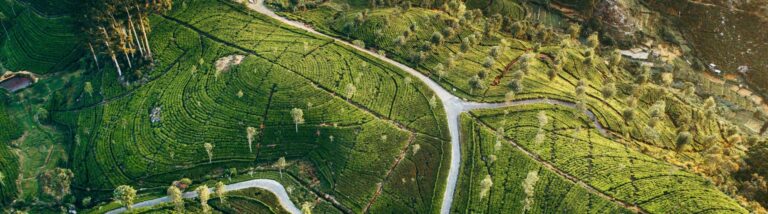 Hero Getty Images 945069472