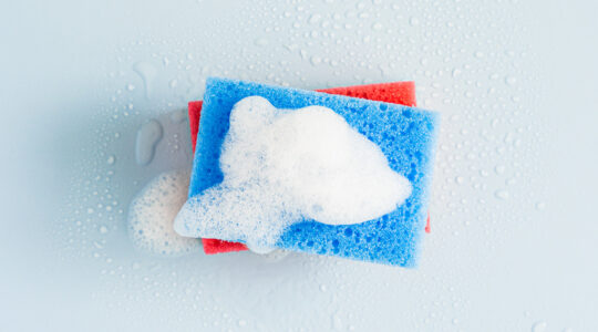 PRT Web Grid 1024x569