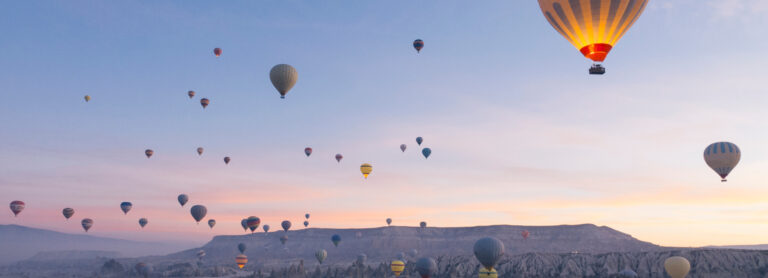 white-paper-hero-pe-firms-2020