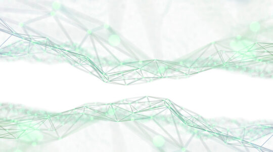 White paper schwab evolving role 1024x569