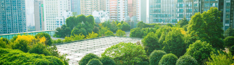 Wp page esg 3600x1000