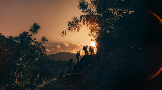 AMPT OCT Edge Image CMS